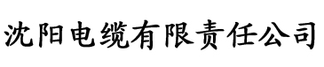 大菠萝在线免费观看电缆厂logo